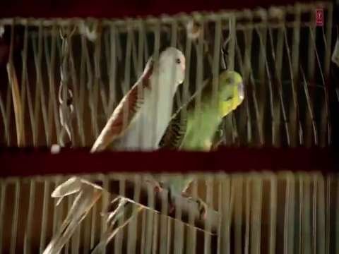 O Rabba Koi To Bataye Sangeet Jackie Shroff Madhuri Dixit status | Anuradha Paudwal status | Suresh Wadekar | Love Status Video thumbnail