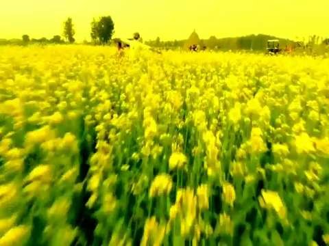 Raksha bandhan | New WhatsApp status | Hai Ye Dua Bhai Ho | Rakhi status video | Raksha Bandhan Whatsapp Status Video | rakhi | Whatsapp Status For Brother