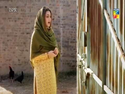 wafa whatsapp status | shehiryar meets masooma | Pakistani drama whatsapp | ladki love status | Dialouge Status Video