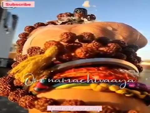 Shiv kedar status video | shiva whatsapp status | hindi subh sawan month | bhole baba whatsapp status | mahadev tandav status | bhole baba whatsapp | shiv tandav  status
