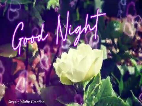 Good Night Status | Good Night Video | Whatsapp Status Video | Good Night Wishes