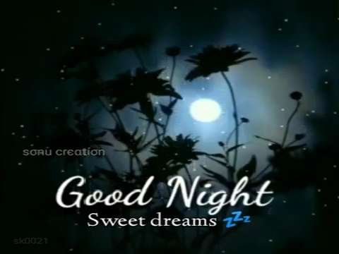 Good Night Status | Good Night Remix Status | good night whatsapp status | good morning status