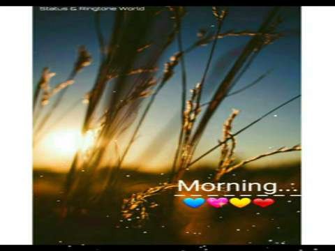 Good Morning Status | Morning Status | Morning Whatsapp Status | Instagram Status | Whatsapp Status