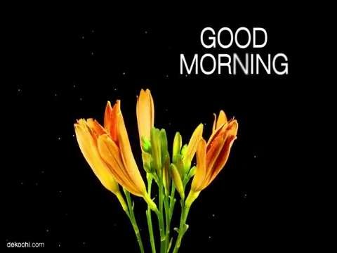 beautiful good morning greeting video to share | happy love and positive message