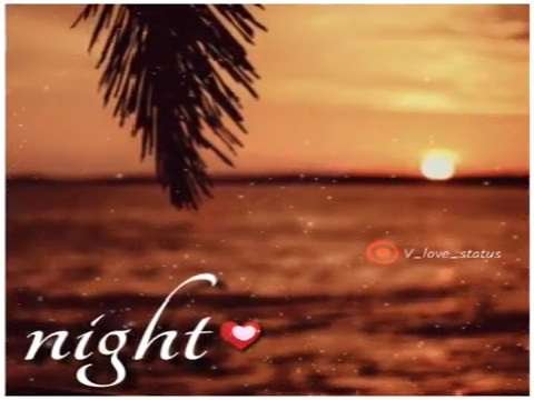 good night status | good night whatsapp status | sweet good night status | good night status Video