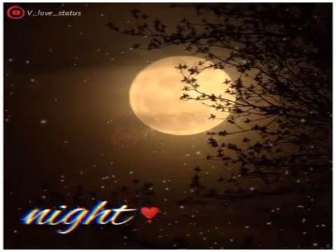 good night status | good night whatsapp status | sweet good night status | good night status Video