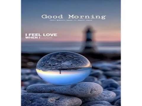Good morning status | good morning whatsApp status | love morning status | morning status Video