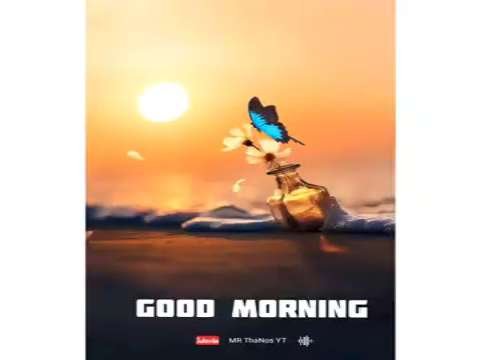 Good morning status | good morning whatsApp status | love morning status | morning status Video
