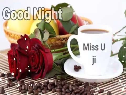 Good night shayari | Good Night Status