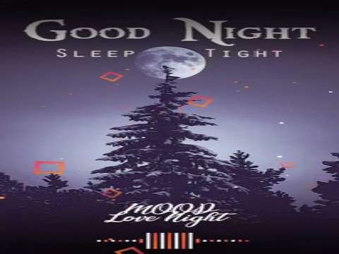 Good Night Whatsapp Status Video