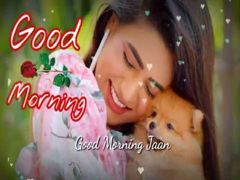 Good Morning Whatsapp Status Video thumbnail