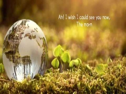 Good Morning Whatsapp Status Video thumbnail