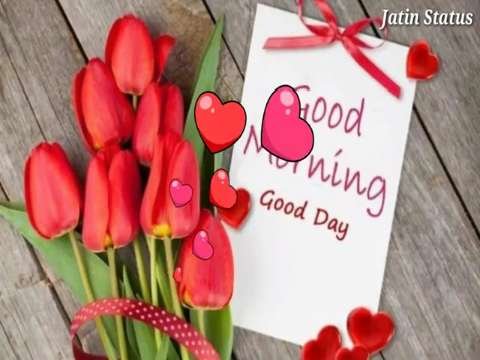 Good Morning Whatsapp Status Video thumbnail