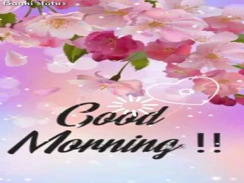 New good morning WhatsApp status video