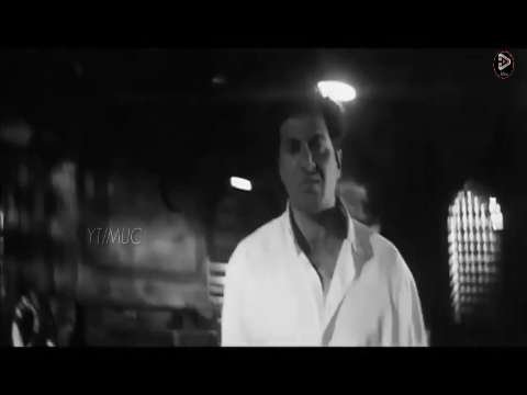 Sunny Deol Attitude DailogueWhatsApp Status Video Download