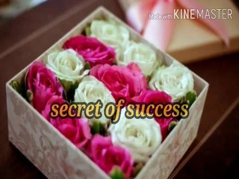 Good Night Whatsapp Status Video Download