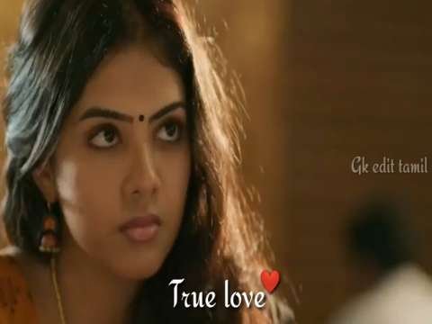 True love status whatsapp status video