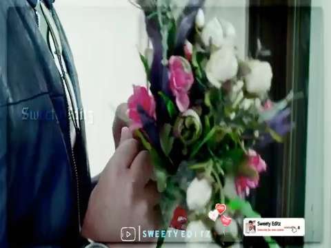 Trust your lover whatsapp status video