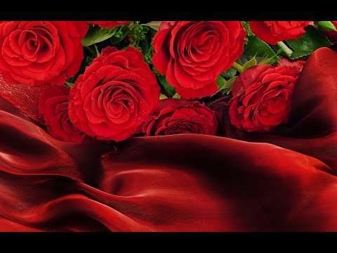Happy Birthday | Romantic Version | brithday status video