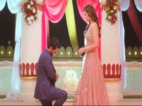 Best Romantic love gift WhatsApp Status video