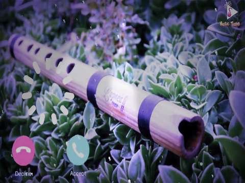 New Bansuri Ringtone | most heart touching Bansuri status video