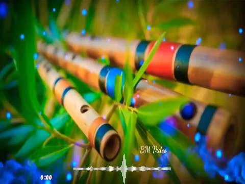 tum mile dil khile flute ringtone status for download | flute song status video