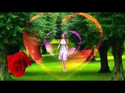 Good morning |love status vodeo