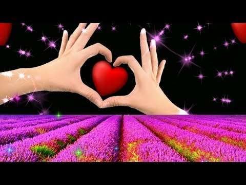 Beautiful natural | love stutas video
