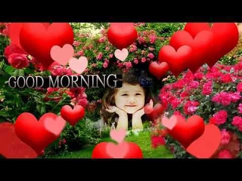 Good morning | family status  video
