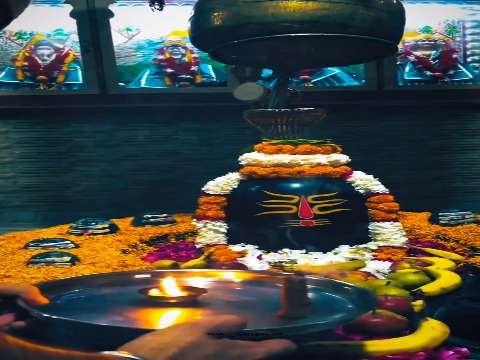 Jay ho jay ho shankara | Mahadev whatsapp status video