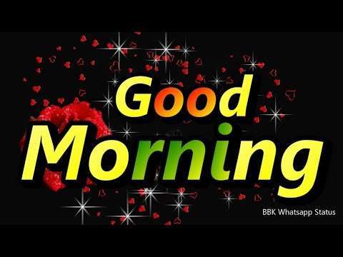 Good morning hindi shayari video | morning status video