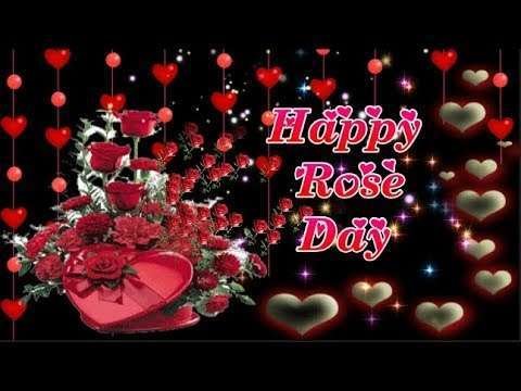 Rose day status | good night status video