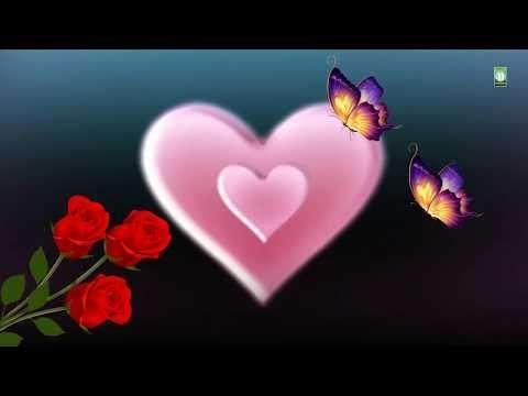 New love whatsapp | love status video
