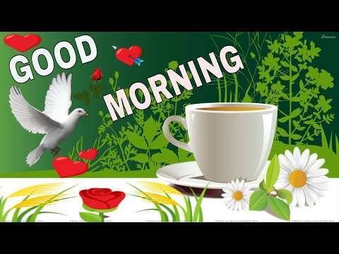 Good morning song | love status video
