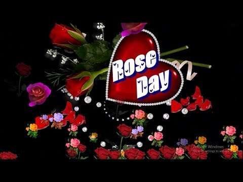 Rose day status | good night status video