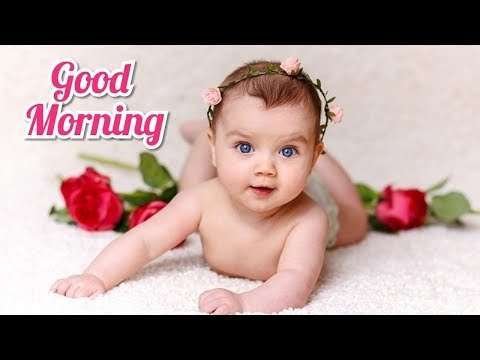 Good morning song | family status video