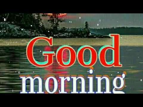 Good morning hindi shayari video | morning status video