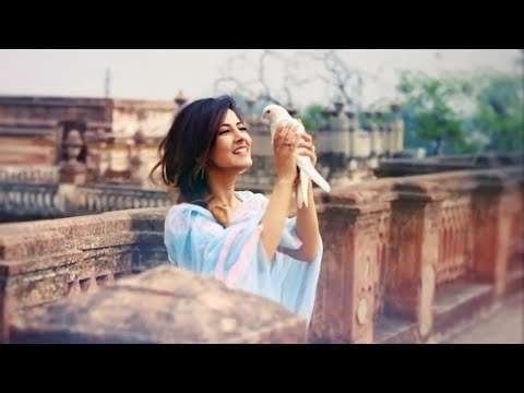 Kabutar ja ja | love status video