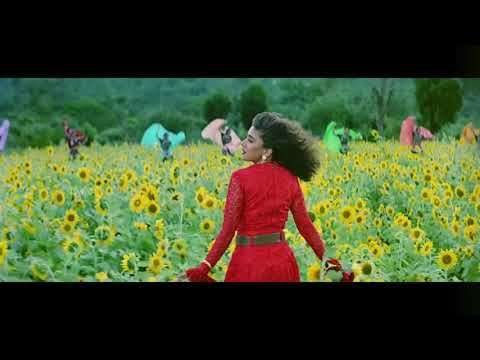 Mausam ka jadoo hai mitwa | full screen status video