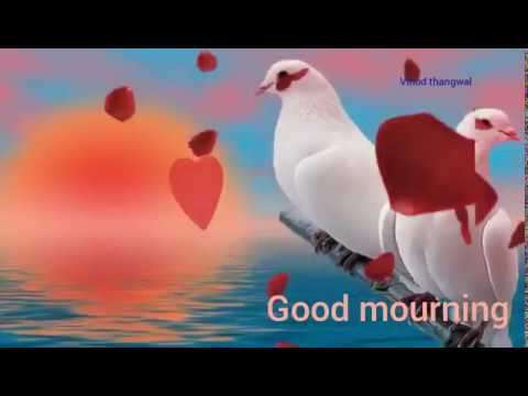 Good Morning Status | good morning | animated status video