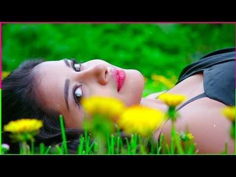 New love filing | whatsApp stutas video