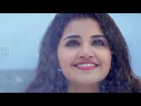 Love | holi status video
