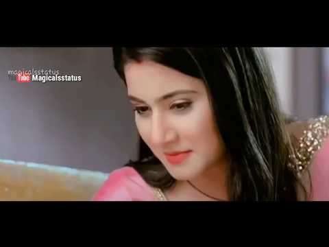 Main jitna tumhe dekhu status video