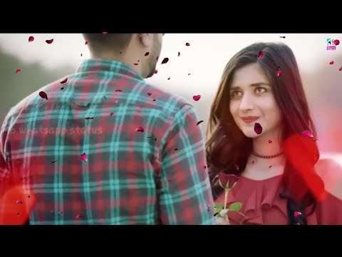 Purposel except status | cute romantic love story | tere dar pe sanam | new valentine day whatsapp status