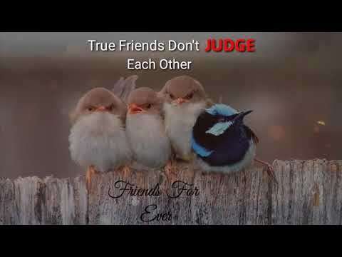 A yrue friendship english whatsapp status video 30 seconds