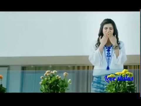 Bin tere sanam mar mitenge hum | romantic status