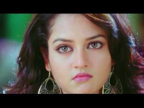Boy attitude whatsapp status | latest hindi whatsapp status | hotel status