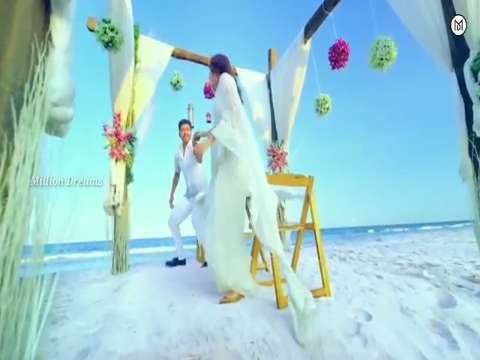 Love status | love final status | shoping love status | love feel propose status | lovely status