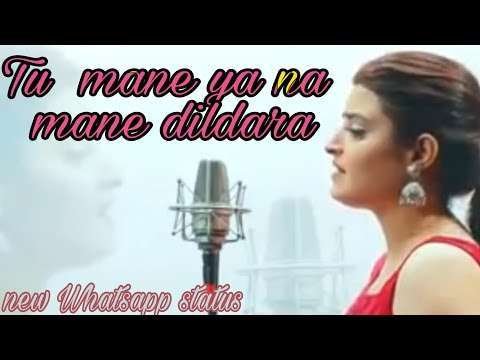 Tu mane ya na mane dildara female | sad status video