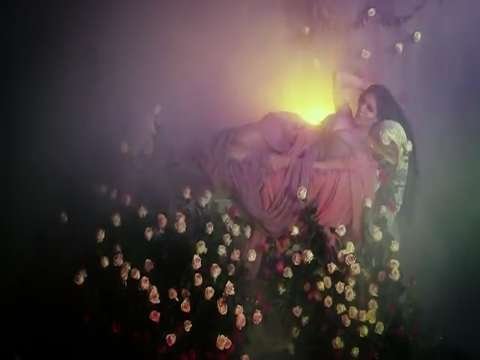 Haifa majk tense clip status arbic status monin status love status thumbnail